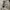 Y2K Bomber jacket Pria tan photo 5