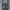 SLEIGHT & CO 16oz photo 7