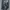 BLUESTES DENIM 20oz photo 8