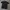 Polo Shirt Monclair Trimmed photo 2
