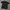 Polo Shirt Monclair Trimmed