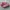 Adidas Casual Sneakers Wanita pink photo 1