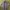 Mammoth Tropical Fruits Banana Pineapple Hawaiian Shirts L photo 2