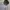 Lacoste Hoodie Peplum Ruffle Hem photo 2