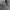Grey Jeans Women photo 4
