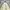 Unknown Corduroy Sherpa Outter Jacket size XXL photo 5