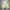Unknown Corduroy Sherpa Outter Jacket size XXL photo 2