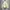 Unknown Corduroy Sherpa Outter Jacket size XXL photo 3