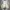 Unknown Corduroy Sherpa Outter Jacket size XXL photo 4