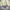 Unknown Corduroy Sherpa Outter Jacket size XXL photo 6