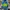 SNOWBOARD JAKET Y2K GORPCORE PAUL ZENITH FULL PRINT photo 4
