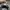 VANS Streetwear Casual Sneakers Pria white photo 2