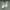 VANS Streetwear Casual Sneakers Pria white photo 1