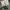 VANS Streetwear Casual Sneakers Pria white photo 3