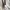 Gore Tex Atunas Minimalist Beige Parka Jacket Casual photo 10