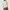 Love Bonito Casual Cami top Wanita multicolor white photo 2