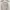 Love Bonito Casual Cami top Wanita multicolor white photo 7