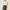 Love Bonito Casual Cami top Wanita multicolor white photo 3