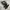 Dr. Martens Casual Boots Pria black photo 3