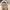Famous Stars & Straps Sportswear Pria multicolor photo 6