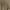 Gold Ribbed Sleeveless Top photo 5