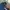 very rare dickies tykes carpenter y2k photo 7
