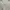 Love Bonito Casual Cami top Wanita white photo 6