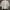 High Neck Full Zip Shirt | Wanita