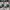 duffle bag crossbody travel bag coach photo 10