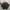 Minimalist Sweater Pria brown photo 1