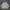 Ladies Puffer Jacket by Gragious photo 2