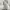 Brandy Melville Casual Bodycon dress Wanita blue photo 6