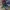 Stroller baby does maltoz like new / stroller bayi kado bayi photo 2