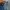True Religion Jeans Ricky Giant Big T photo 8