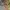 Valino Luxury Minimalist Pria multicolor photo 1