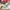 Zara top white  photo 8