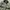 Military M65 Field Parka Jacket photo 3