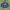 navy blue waffle - knit hoodie ( California U.S.A)  photo 4