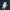 Hoodie Blur Original photo 2