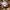 Dickies Canvas Carpenter Shorts Pants  photo 5