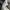 Japanese Tailored Valentino Garavani Pleated Baggy Trousers photo 5