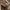 Evans Vintage Flight Bomber Leather Jacket photo 6