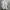 Vintage Ash Grey 80s NYC New York Hoodie photo 4
