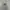Vintage Ash Grey 80s NYC New York Hoodie photo 5