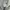 Vintage Ash Grey 80s NYC New York Hoodie photo 6