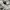 Adidas Casual Sweater Pria gray photo 4