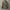 JAKET GGD TOKYO MODEL PARKA M65 RIPED CANVAS .
 photo 4