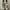 Adidas stan smith photo 2
