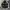 Vanquish & Fragment Streetwear Vintage Bomber Jacket Pria Black