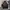 Vanquish & Fragment Streetwear Vintage Bomber Jacket Pria Black